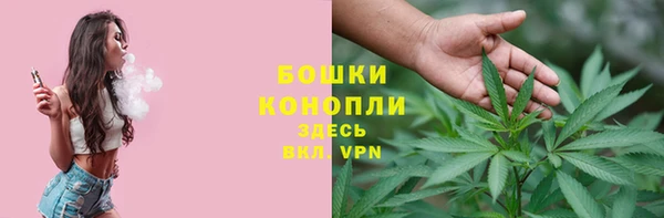 бутират Богданович