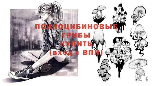 ешки Богородицк